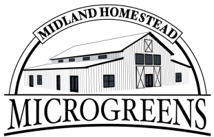 Midland Homestead Microgreens
